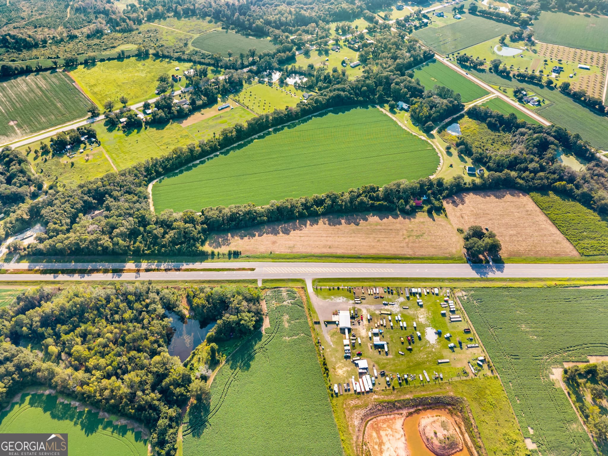 agriculture for sale at 8291 GA Highway 67, Brooklet, GA 30415 — photo 6