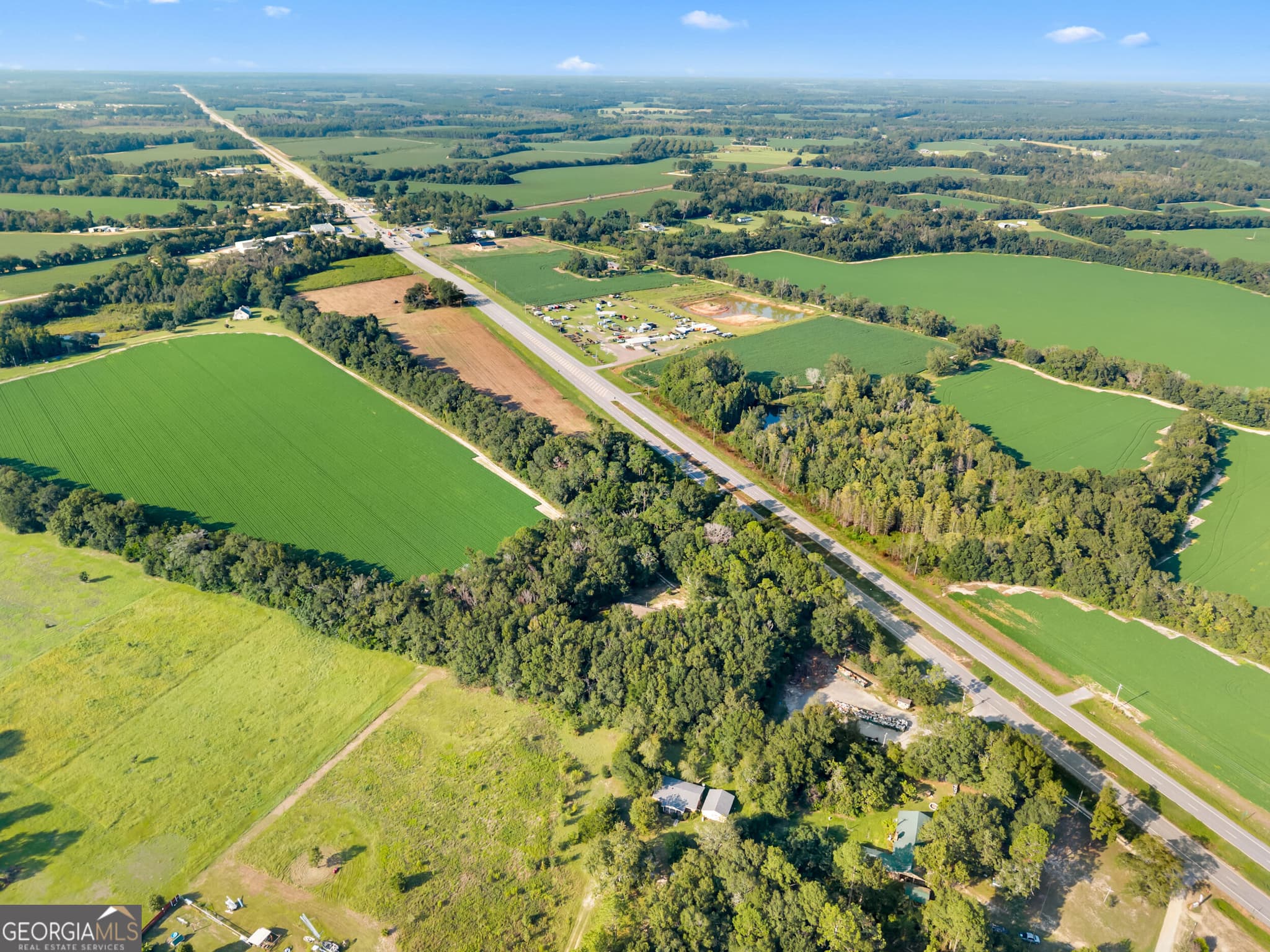 agriculture for sale at 8291 GA Highway 67, Brooklet, GA 30415 — photo 7