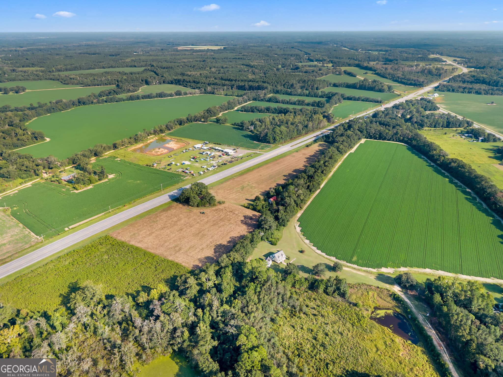 agriculture for sale at 8291 GA Highway 67, Brooklet, GA 30415 — photo 3