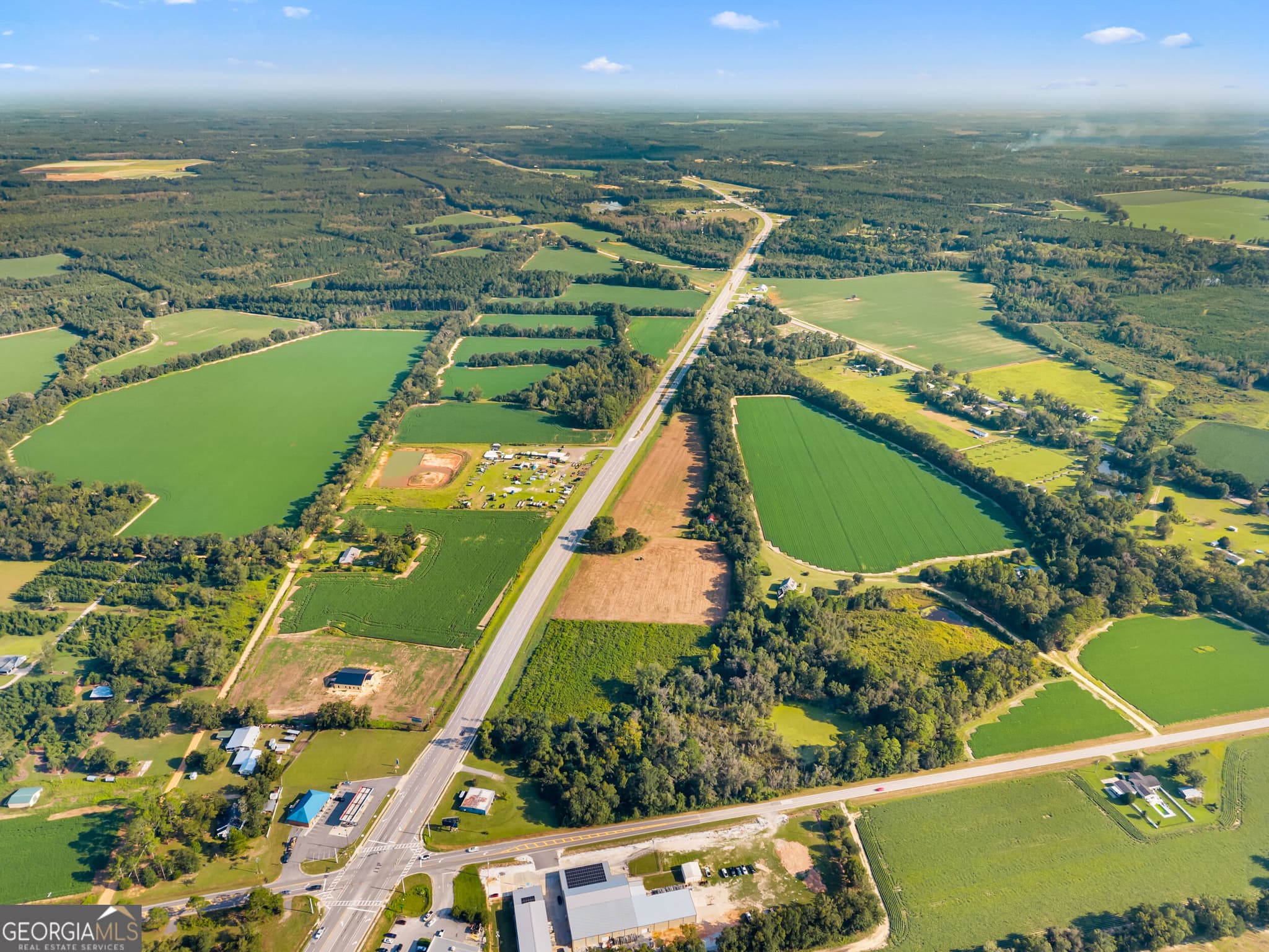 agriculture for sale at 8291 GA Highway 67, Brooklet, GA 30415 — photo 5