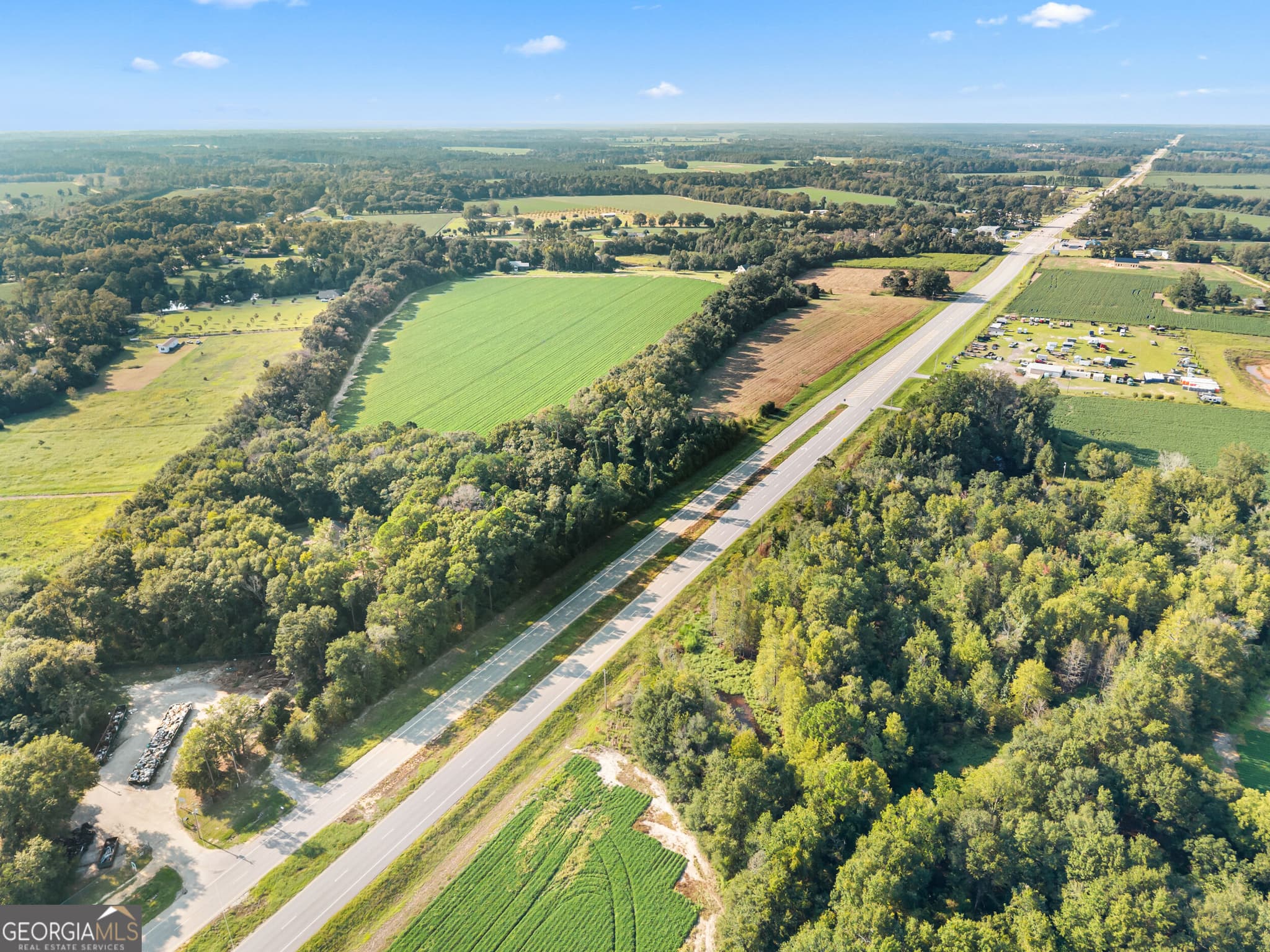 agriculture for sale at 8291 GA Highway 67, Brooklet, GA 30415 — photo 9