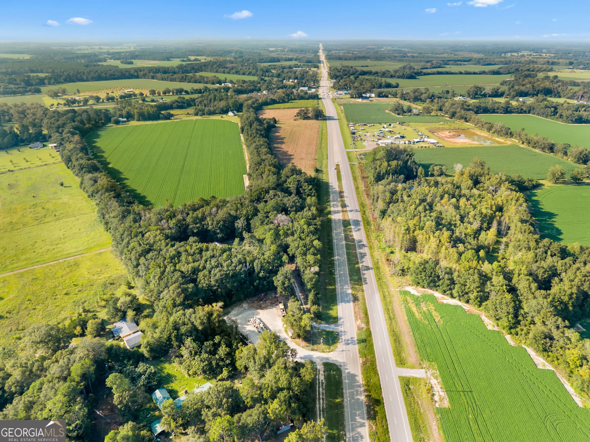 agriculture for sale at 8291 GA Highway 67, Brooklet, GA 30415 — photo 8