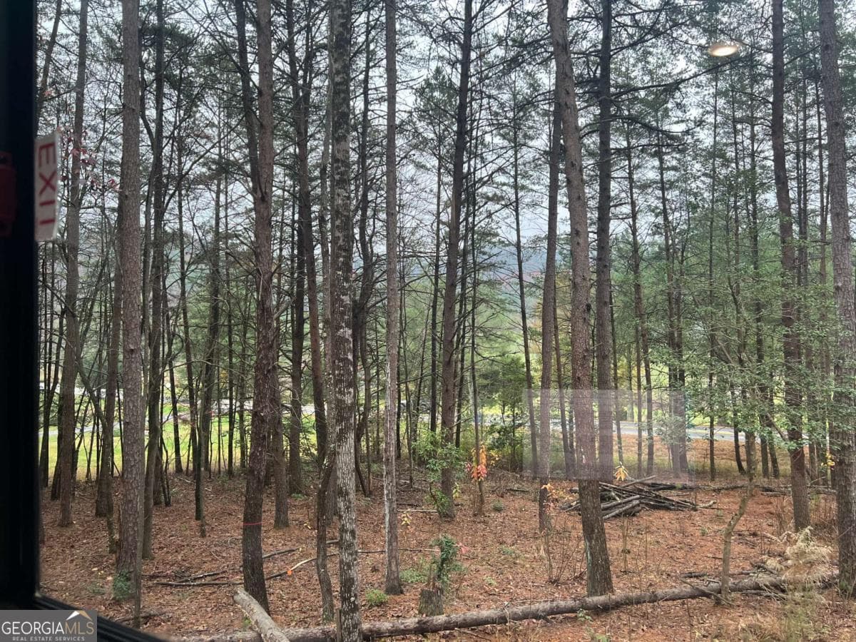 residential lot for sale at LOT 5 Morganton Highway, Suches, GA 30572 — photo 3