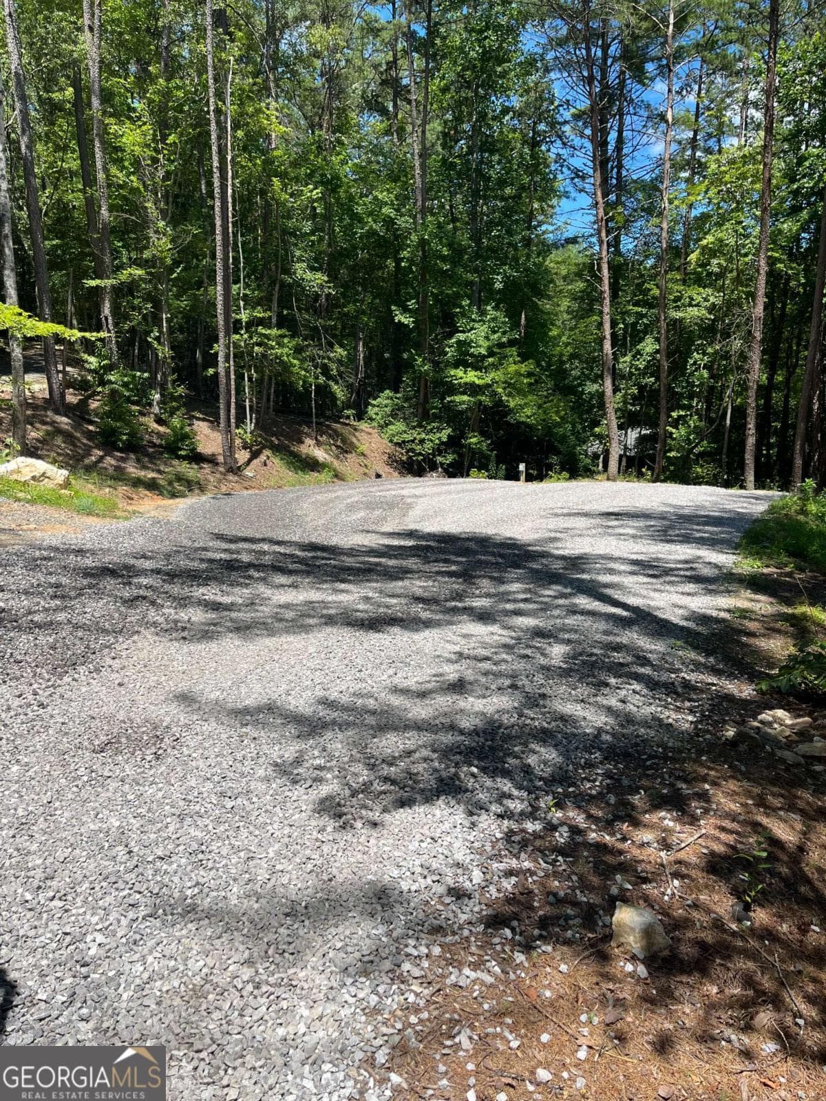 residential lot for sale at LOT 5 Morganton Highway, Suches, GA 30572 — photo 5