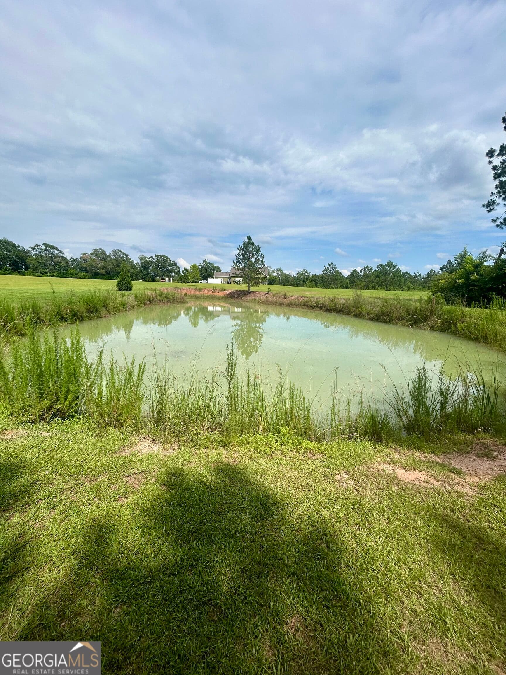 4 bedroom, 3 bathroom single family residence under contract at 3858 Sapps Lake Rdn/A N/A, Enigma, GA 31749 — photo 5