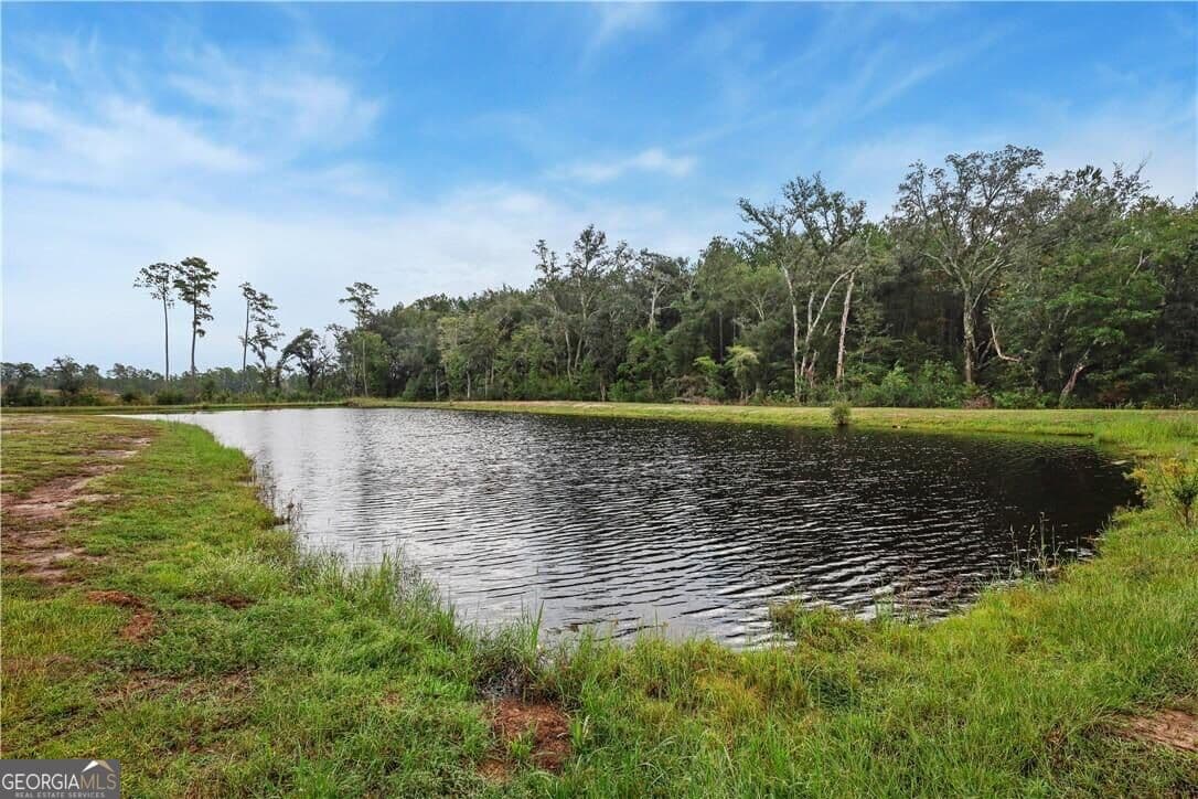 4 bedroom, 2 bathroom, 1,952 sq ft single family residence for sale at 229 Blandford Crossing, Rincon, GA 31326 — photo 4