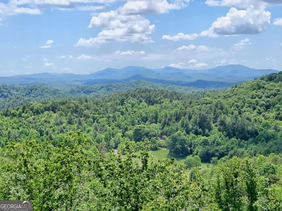 residential lot for sale at LOT 28 Bryson Creek, Murphy, NC 28906 — photo 9