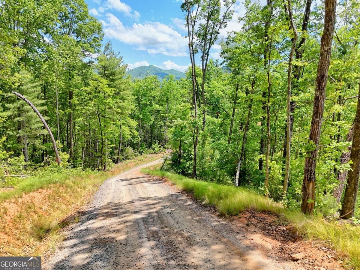 residential lot for sale at LOT 28 Bryson Creek, Murphy, NC 28906 — photo 10