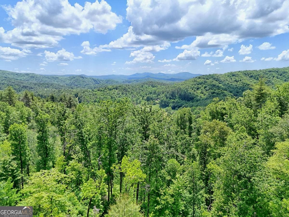 residential lot for sale at LOT 28 Bryson Creek, Murphy, NC 28906 — photo 8