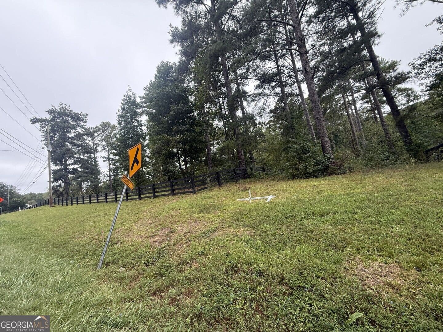 agriculture for sale at 14170 Birmingham Highway, Milton, GA 30004 — photo 2