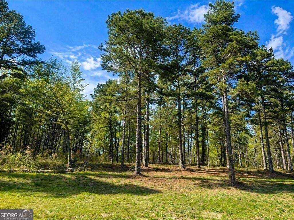 3 bedroom, 2.5 bathroom, 2,754 sq ft single family residence for sale at 575 Hardy Road, Martin, GA 30557 — photo 2