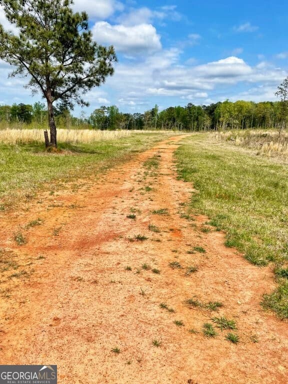 agriculture for sale at 0 Fullerton-Phillips & Greer Road, Hillsboro, GA 31038 — photo 7