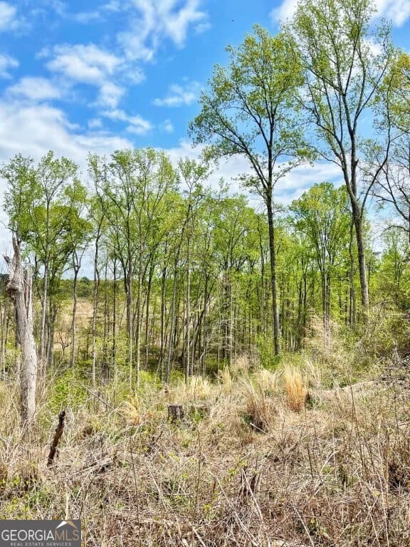 agriculture for sale at 0 Fullerton-Phillips & Greer Road, Hillsboro, GA 31038 — photo 3