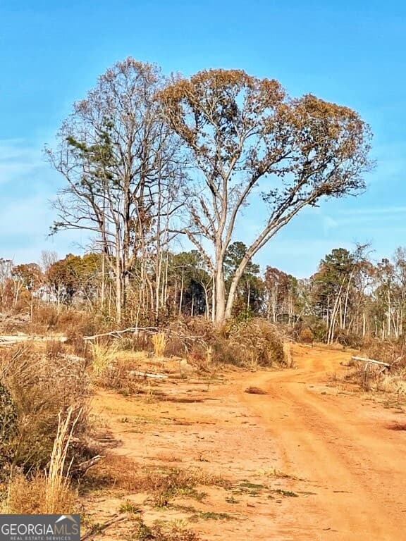 agriculture for sale at 0 Fullerton-Phillips & Greer Road, Hillsboro, GA 31038
