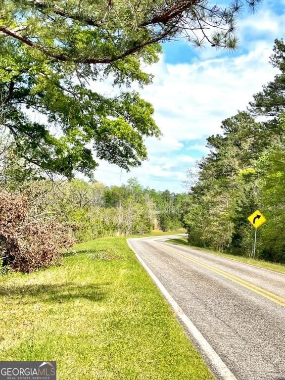 agriculture for sale at 0 Fullerton-Phillips & Greer Road, Hillsboro, GA 31038 — photo 9