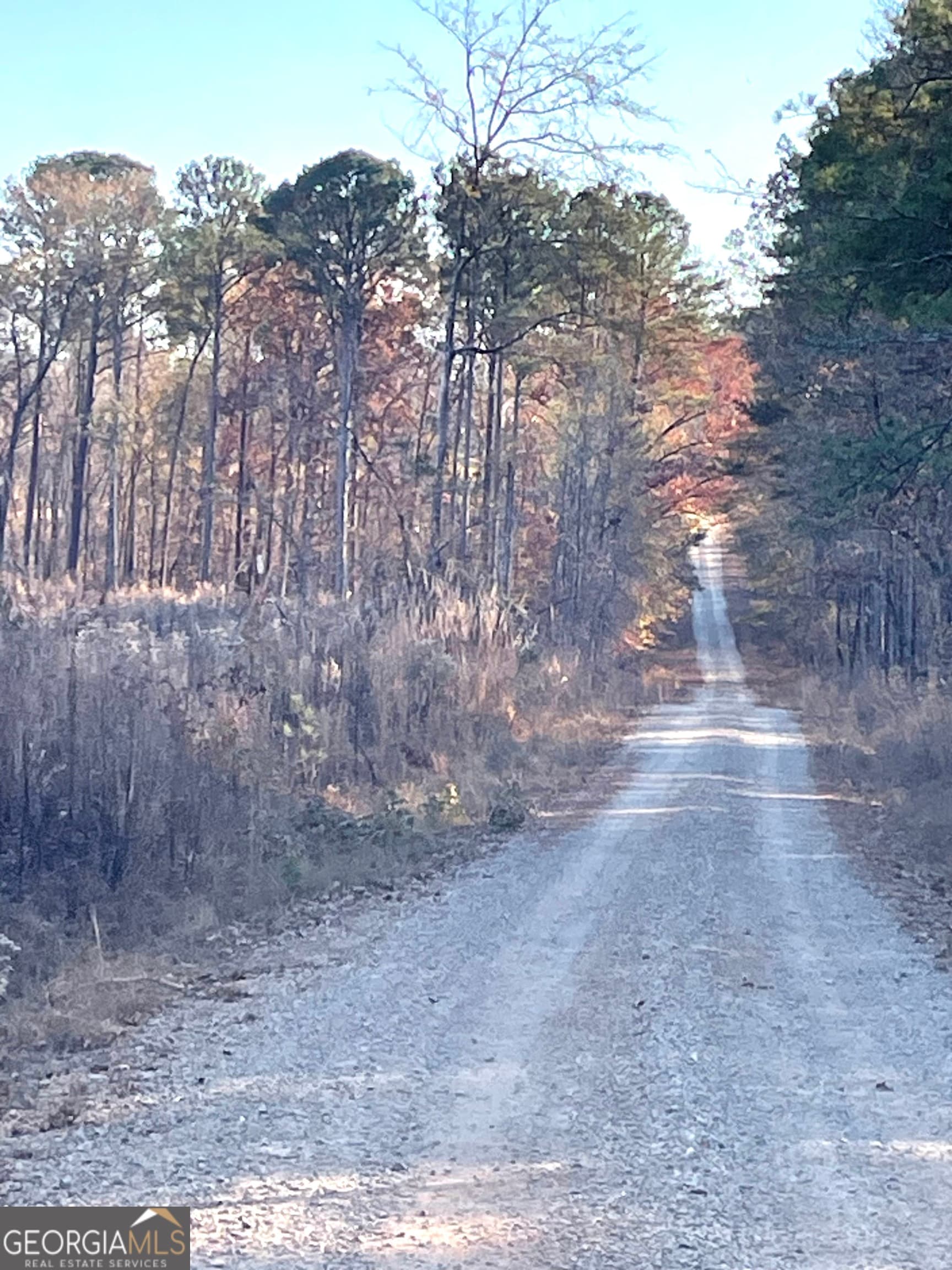 agriculture for sale at 0 Fullerton-Phillips & Greer Road, Hillsboro, GA 31038 — photo 8