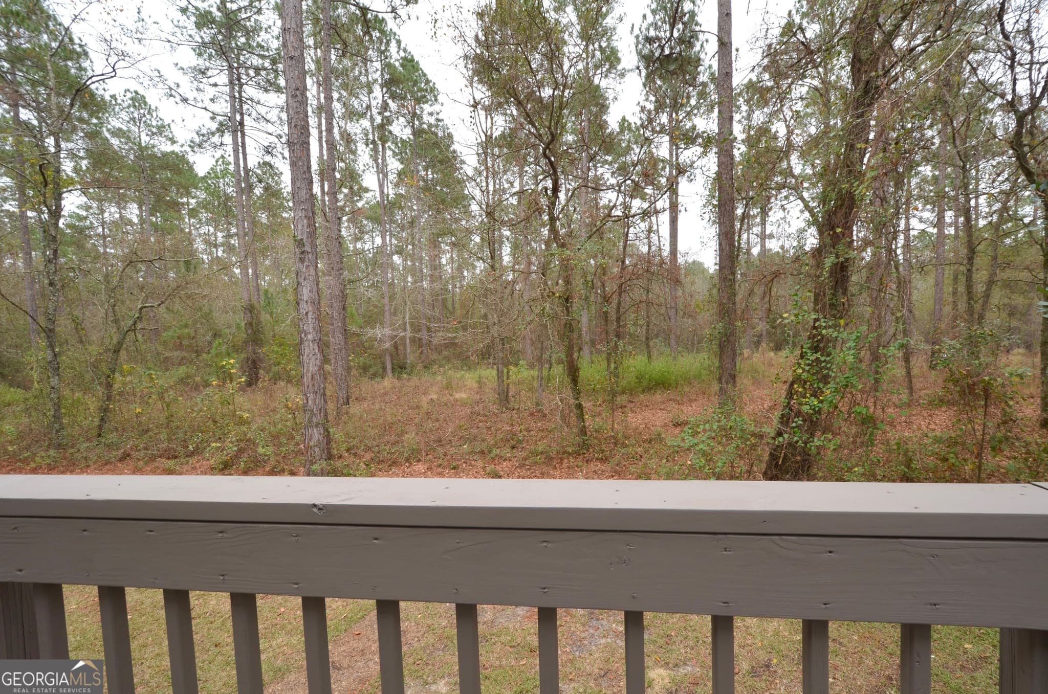 6 bedroom, 4 bathroom, 3,391 sq ft single family residence for sale at 438 Highland Lakes Drive, Eastman, GA 31023 — photo 10