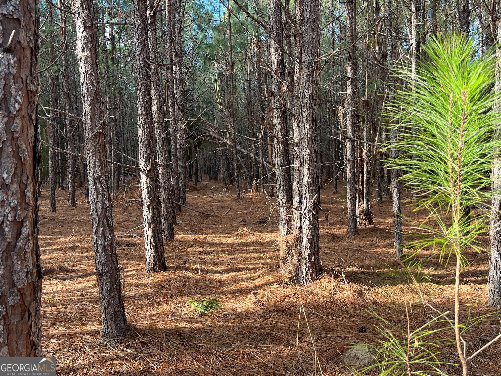 agriculture sold at 0 Thomas Road, Millen, GA 30442