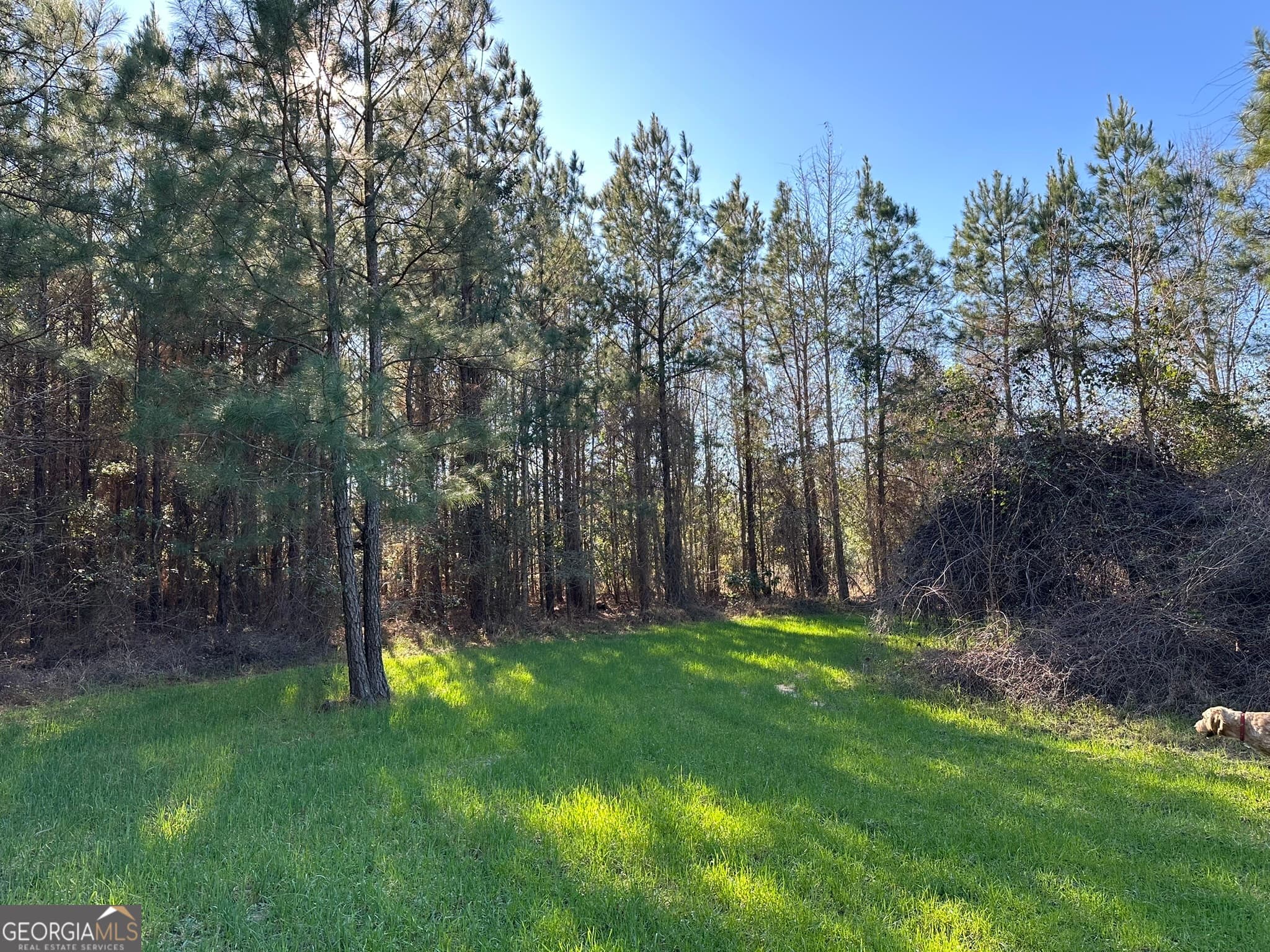 agriculture sold at 012 Mt Zion Road, Gordon, AL 36343