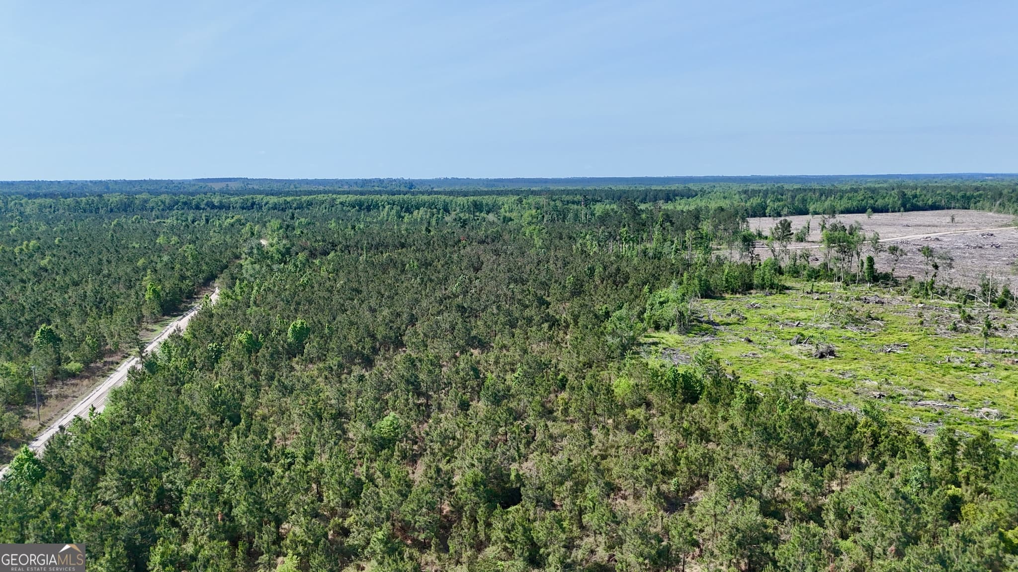 agriculture for sale at 0 Tillman Cemetery Road, Lumber City, GA 31549 — photo 2