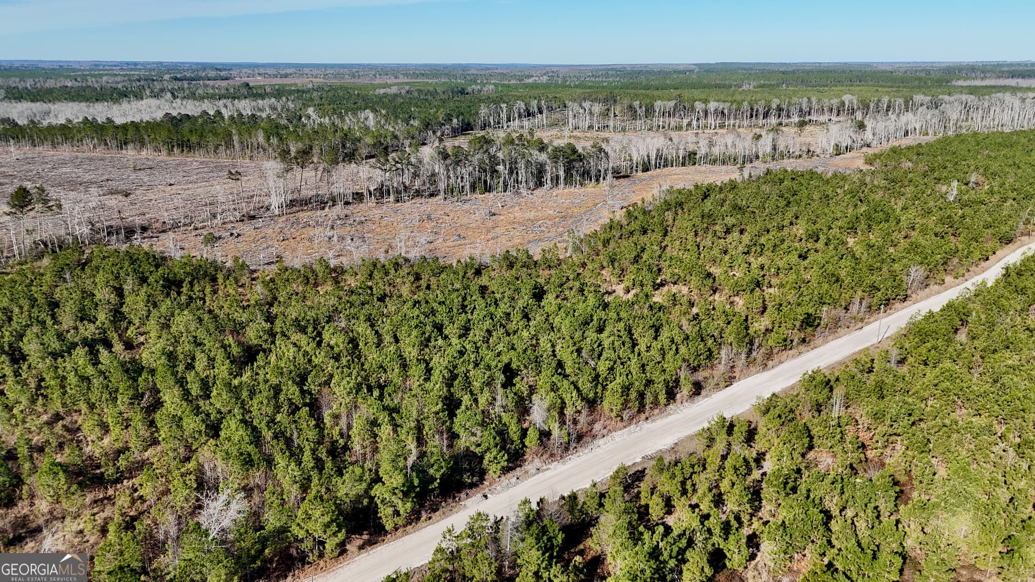 agriculture for sale at 0 Tillman Cemetery Road, Lumber City, GA 31549 — photo 6