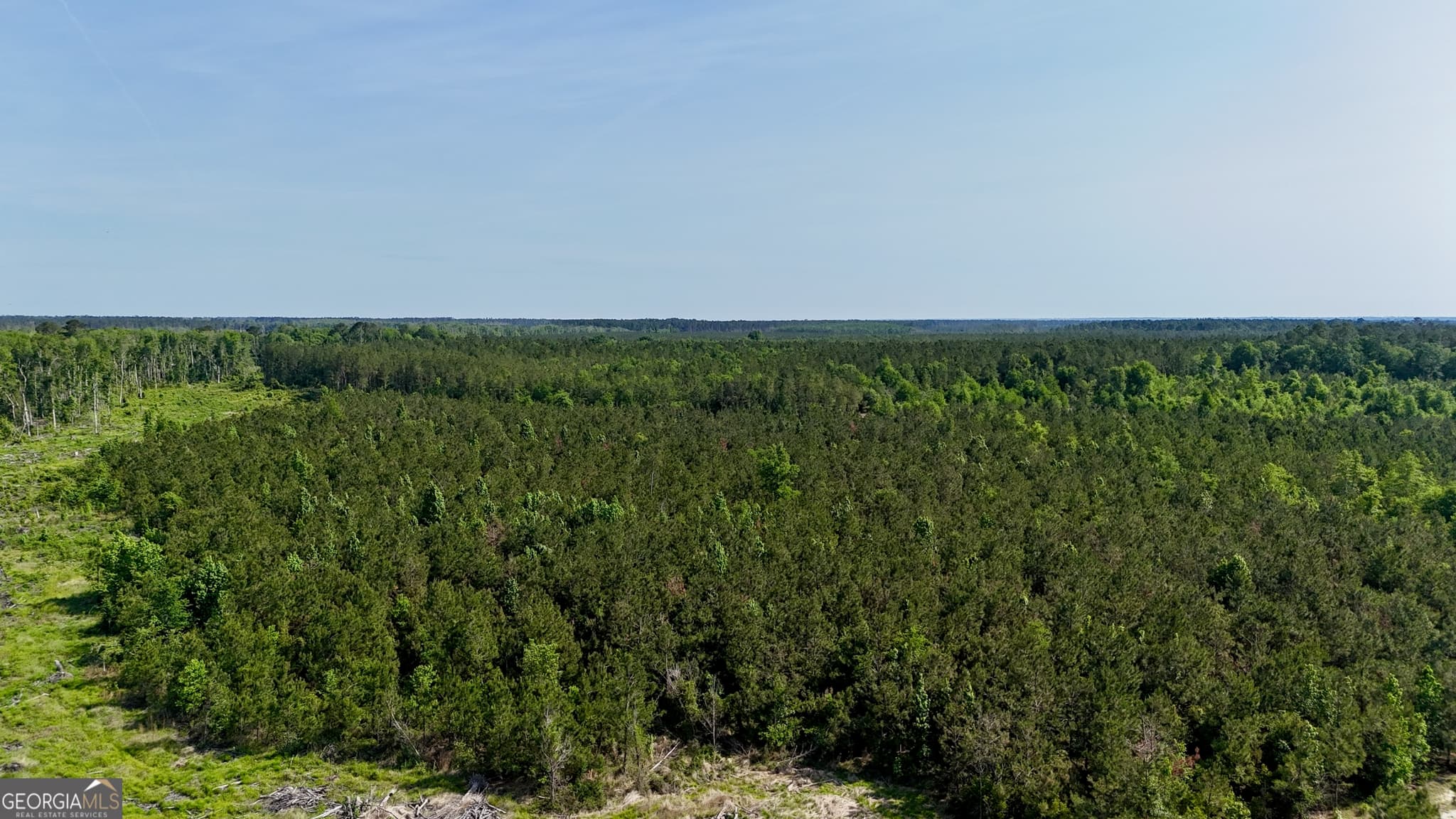 agriculture for sale at 0 Tillman Cemetery Road, Lumber City, GA 31549 — photo 7
