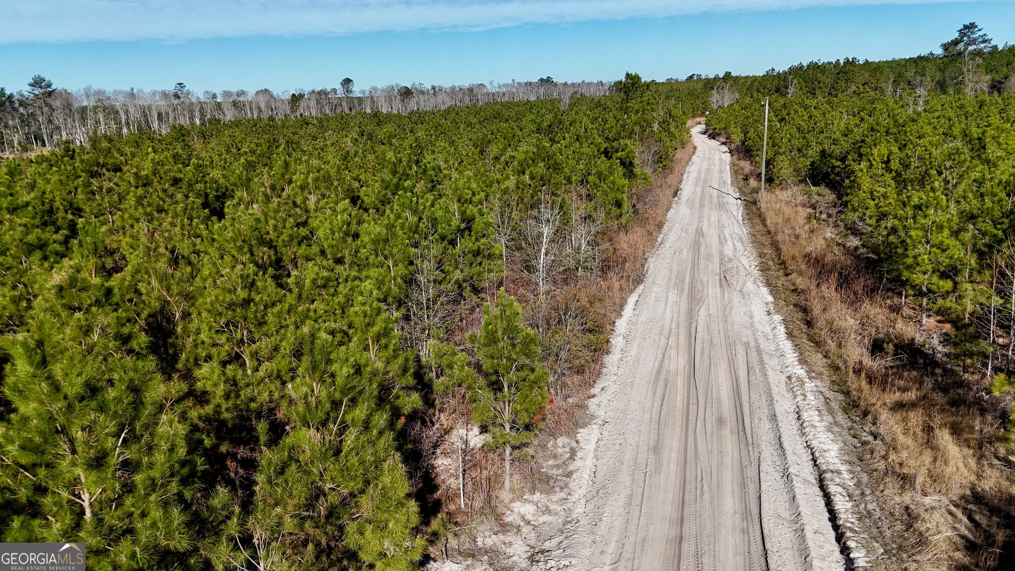 agriculture for sale at 0 Tillman Cemetery Road, Lumber City, GA 31549 — photo 3