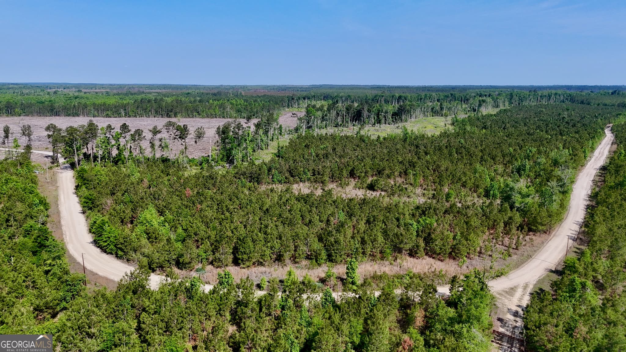 agriculture for sale at 0 Tillman Cemetery Road, Lumber City, GA 31549