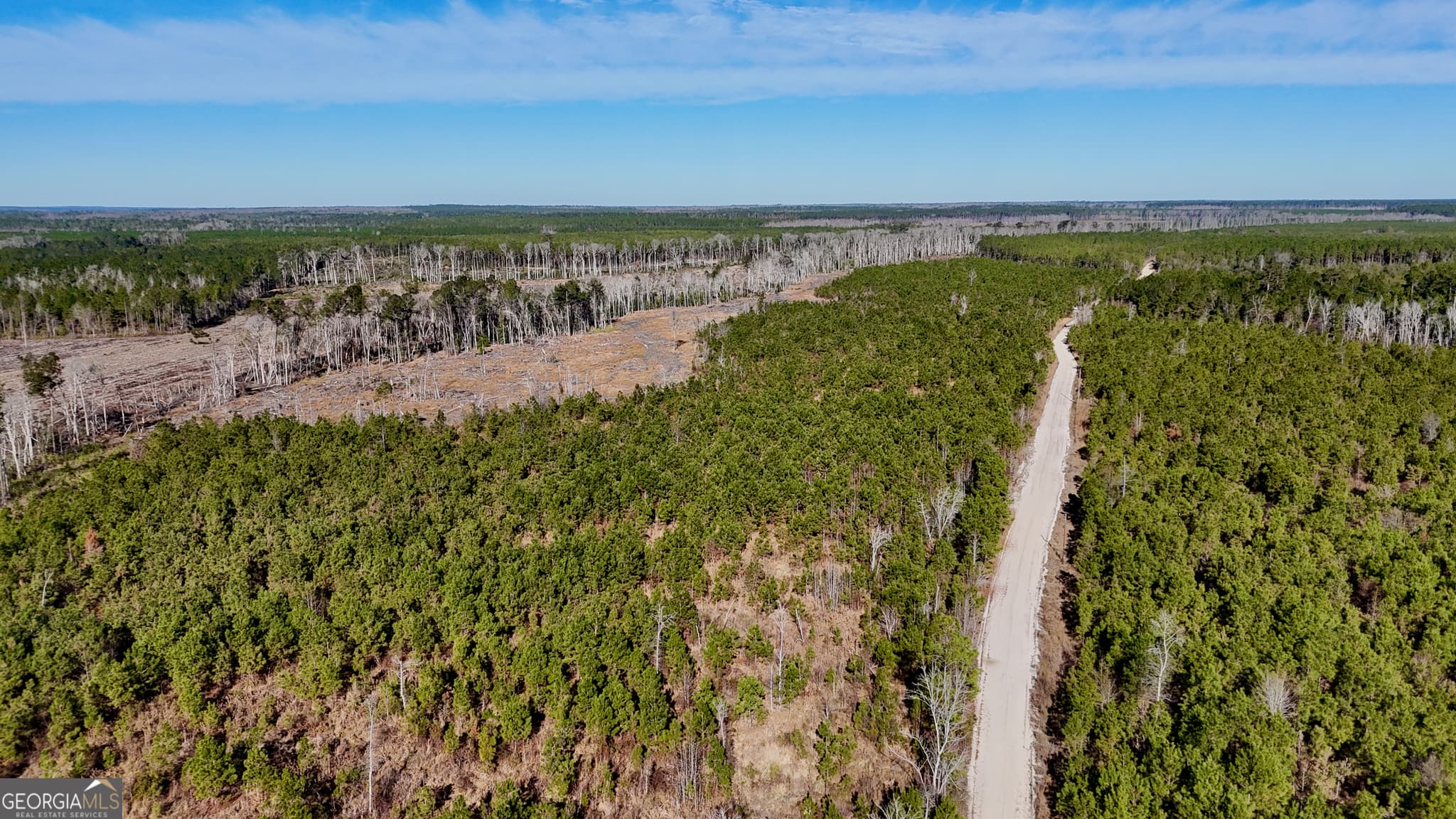 agriculture for sale at 0 Tillman Cemetery Road, Lumber City, GA 31549 — photo 5