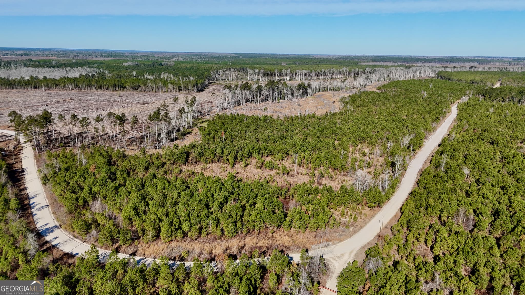 agriculture for sale at 0 Tillman Cemetery Road, Lumber City, GA 31549 — photo 4