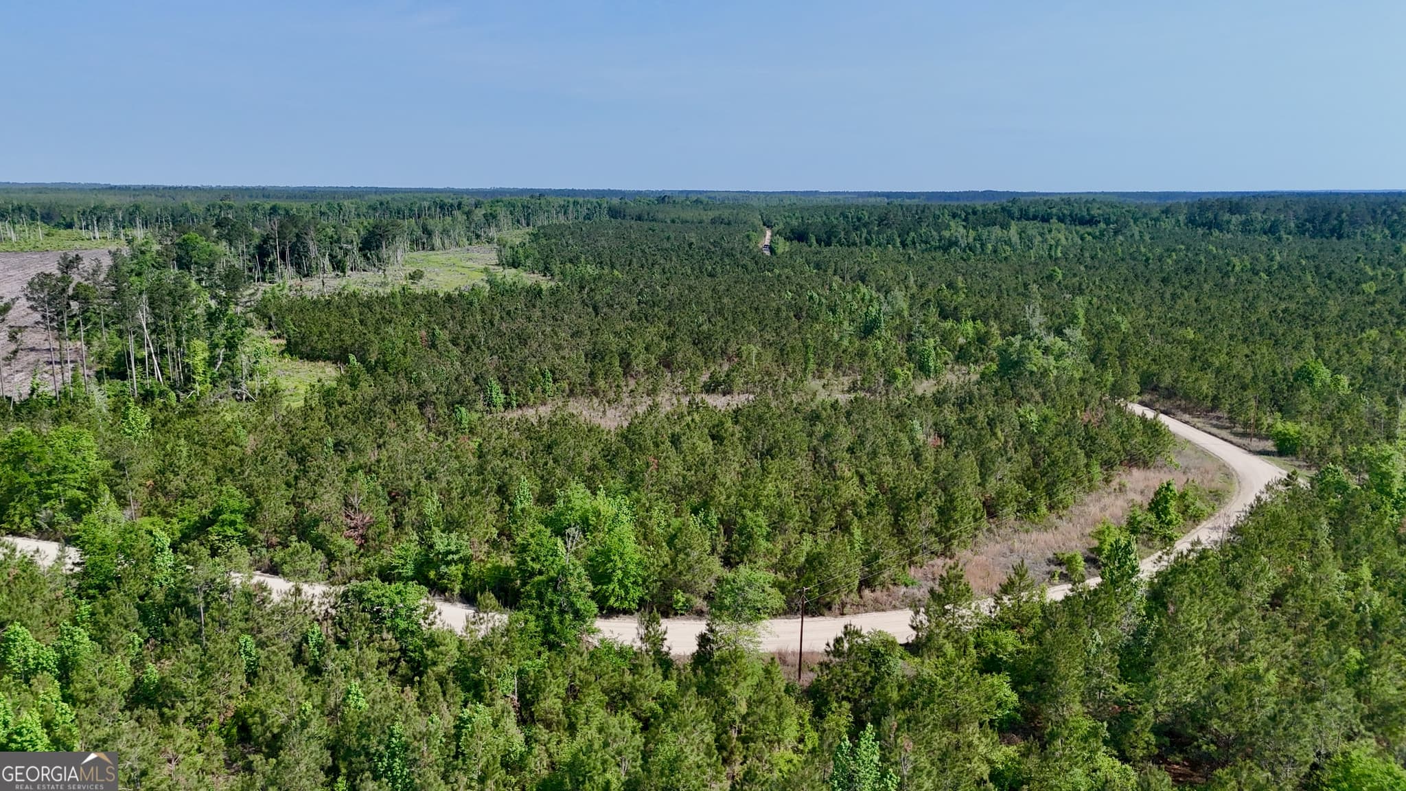 agriculture for sale at 0 Tillman Cemetery Road, Lumber City, GA 31549 — photo 8