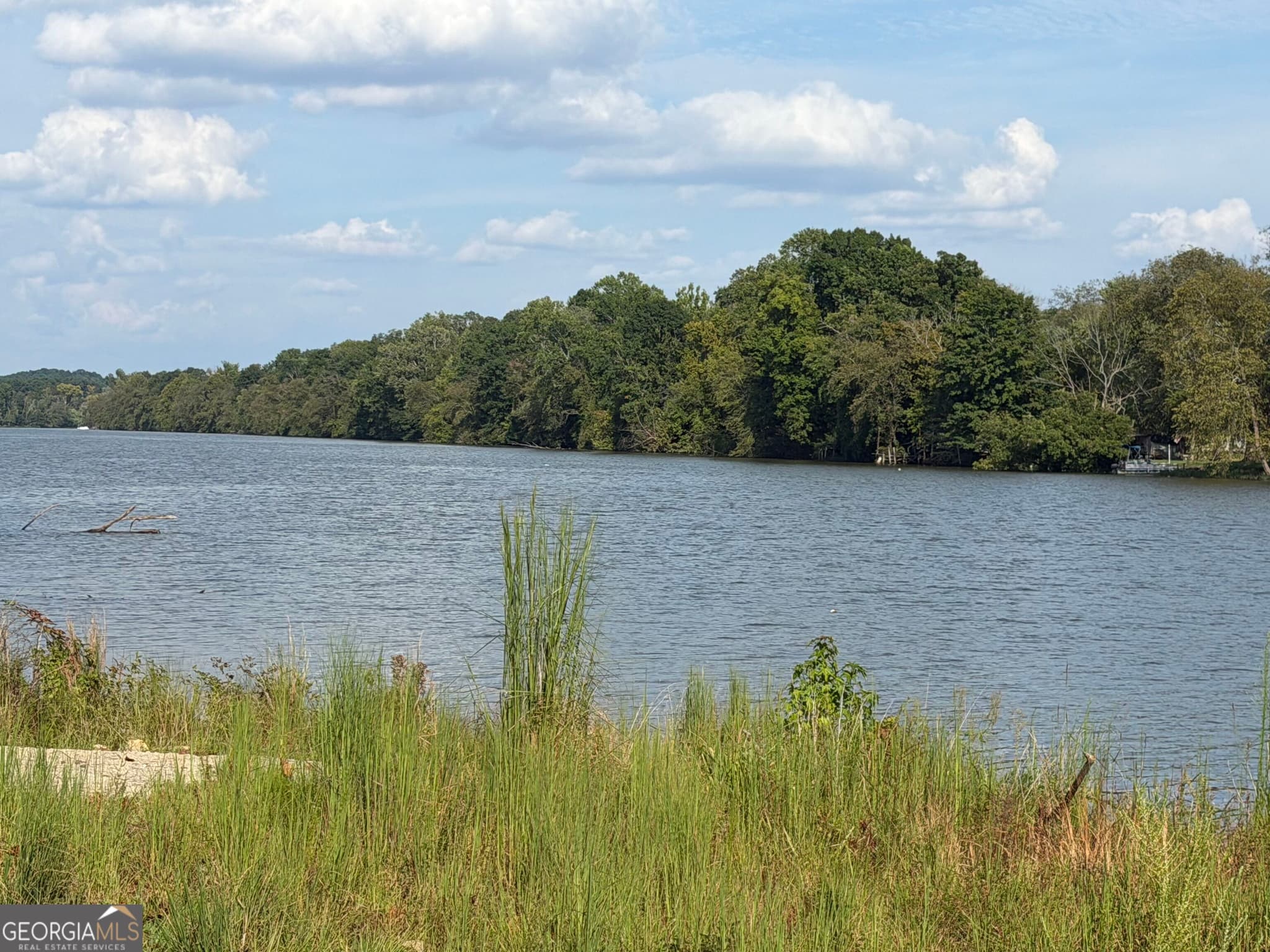1 bedroom, 1 bathroom single family residence for sale at 1725 SW COUNTY ROAD 182, Cedar Bluff, AL 35959 — photo 2