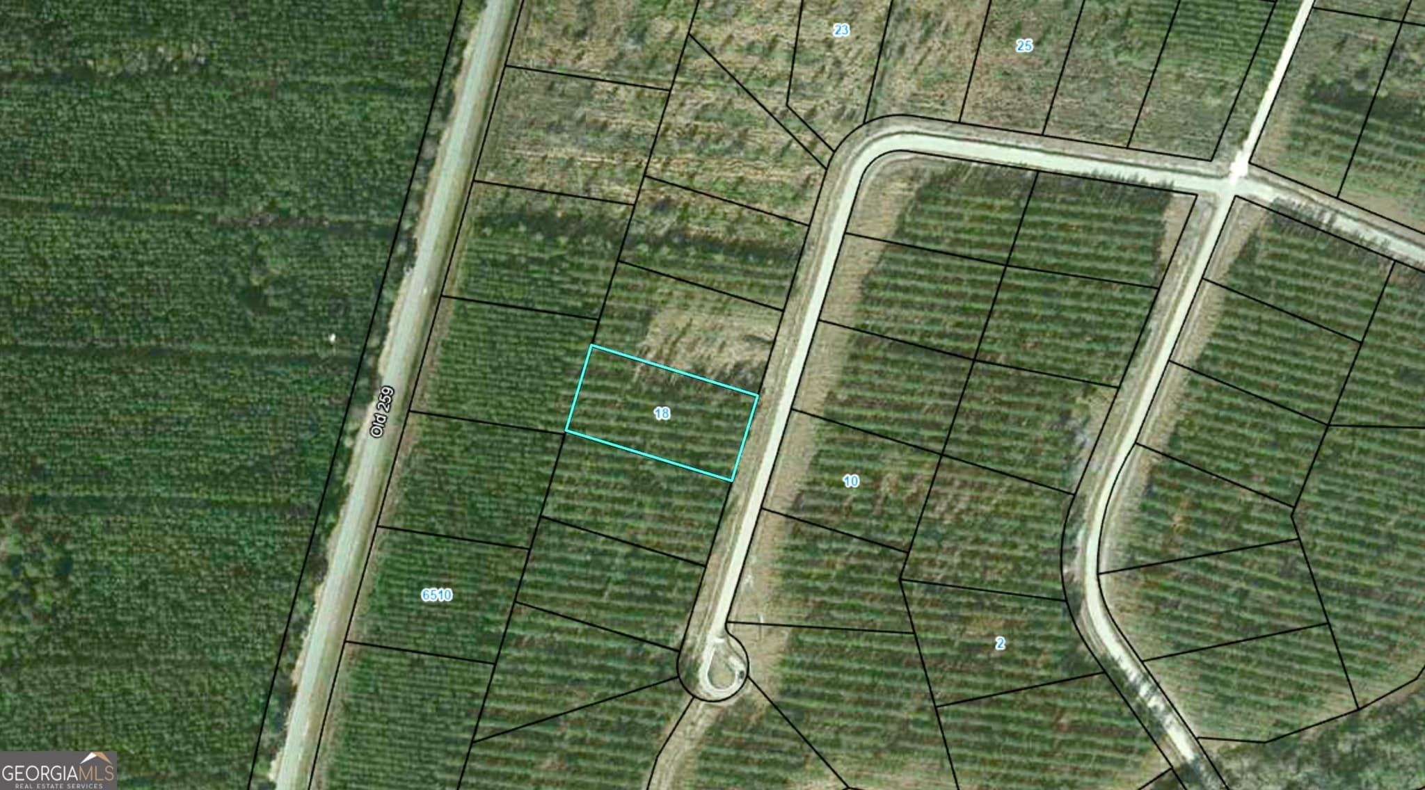 residential lot for sale at 18 Satilla Plantation, Waynesville, GA 31566 — photo 2