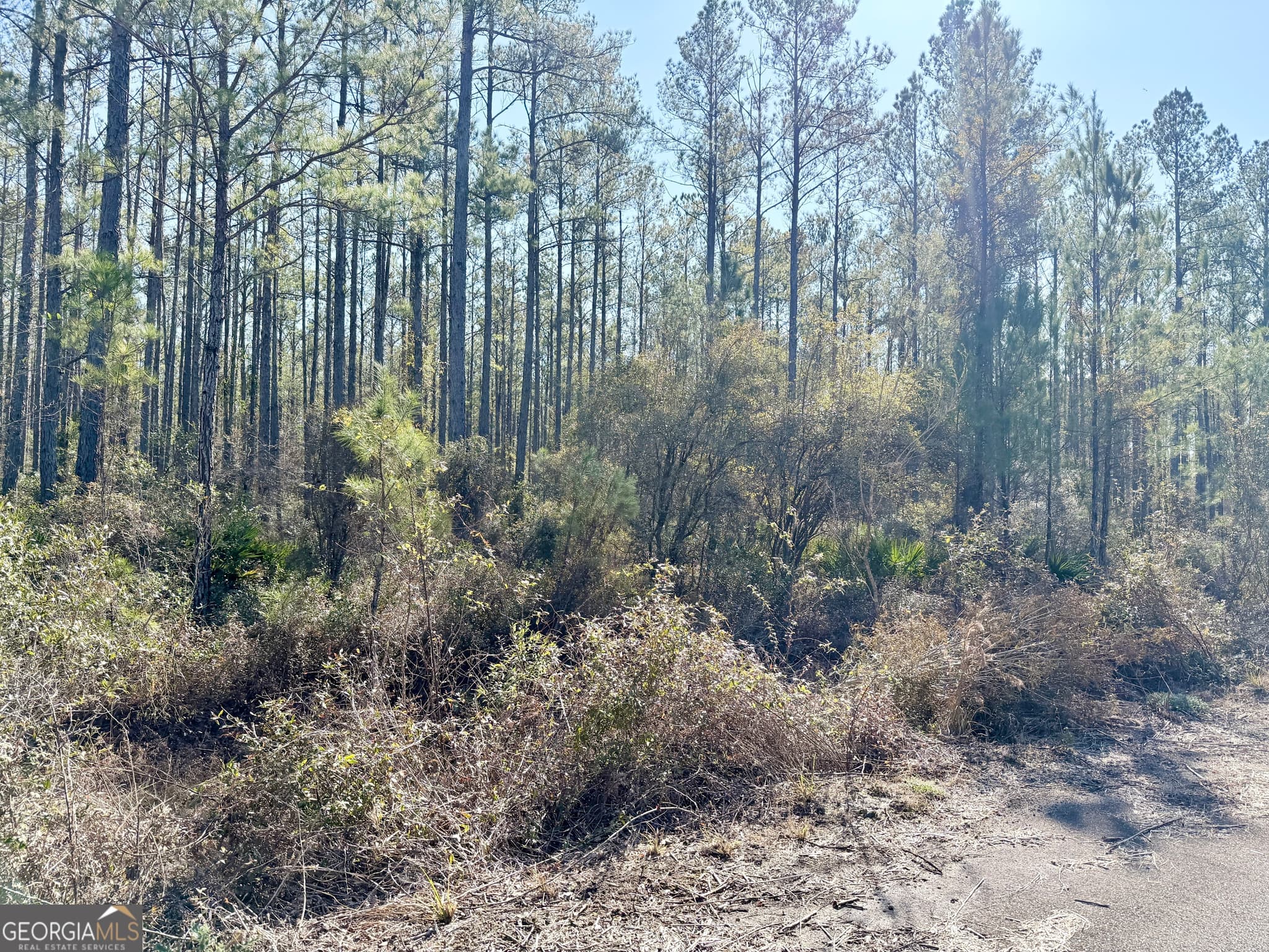 residential lot for sale at 18 Satilla Plantation, Waynesville, GA 31566 — photo 3