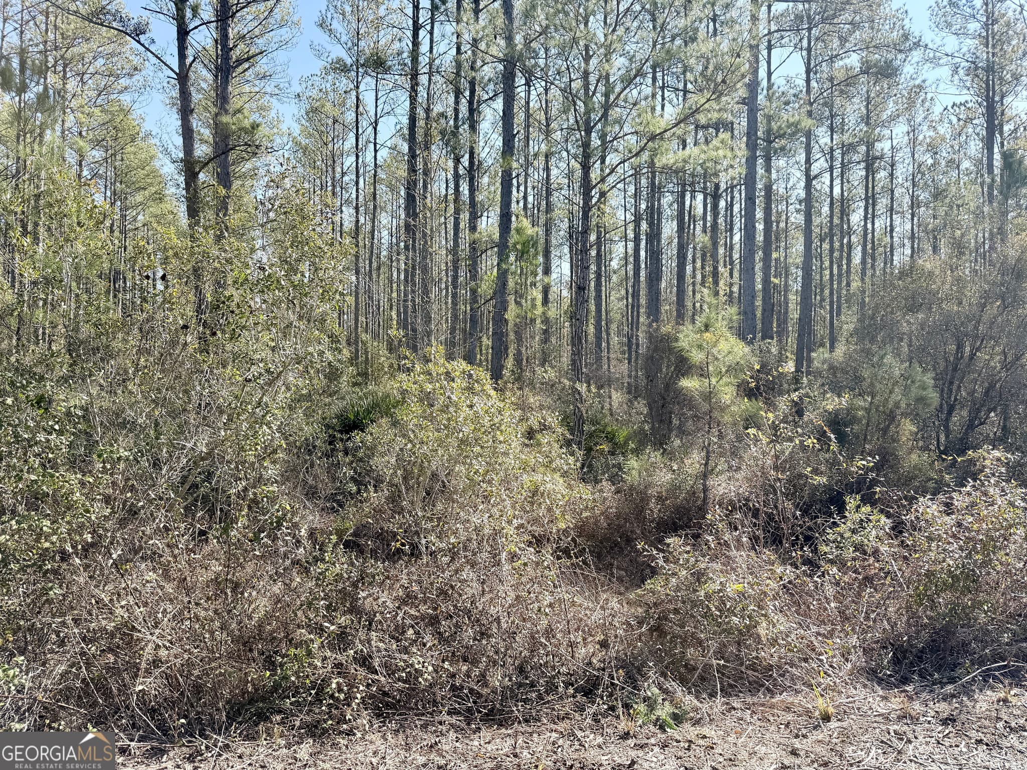 residential lot for sale at 18 Satilla Plantation, Waynesville, GA 31566 — photo 1 of 4
