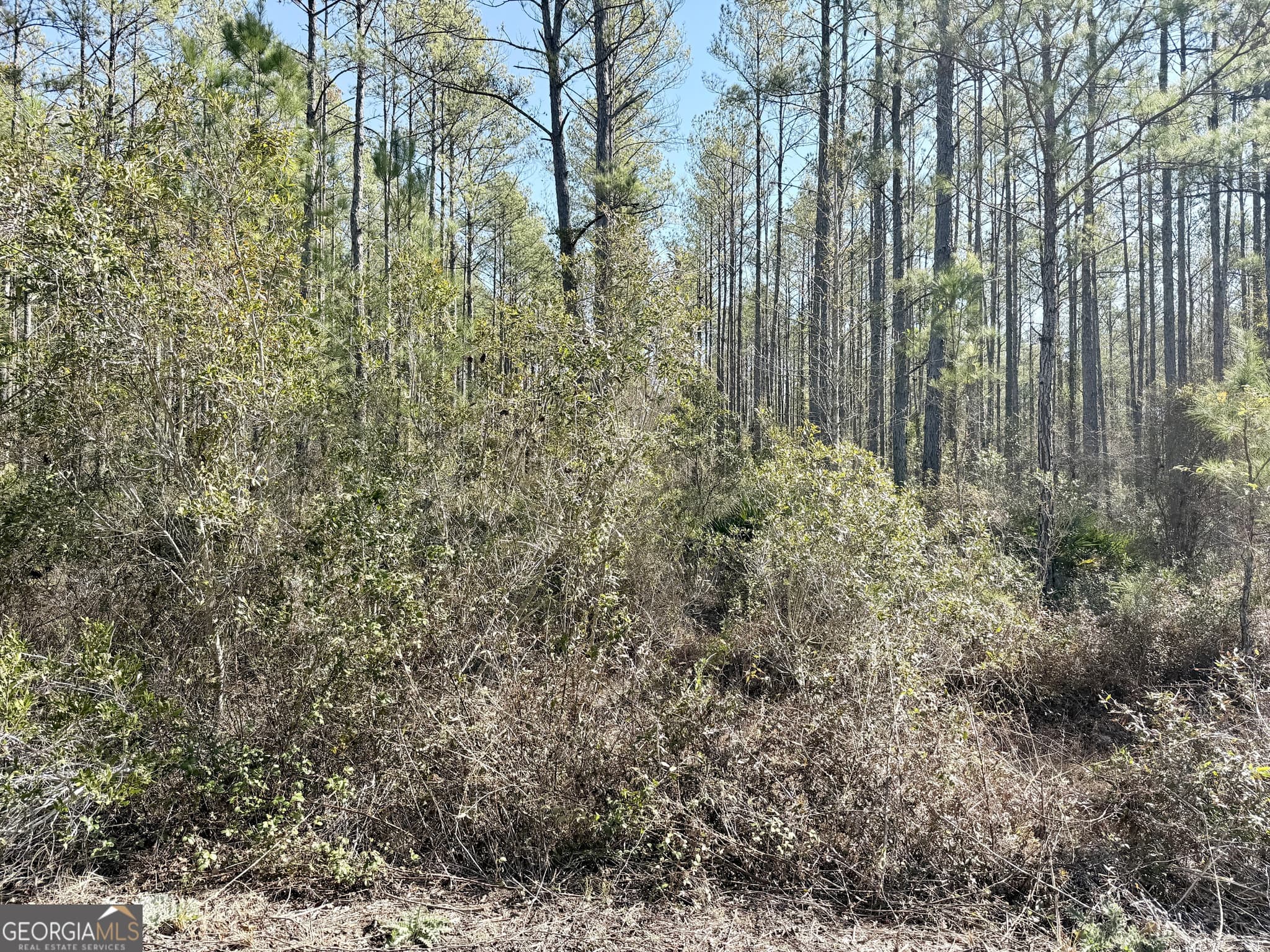 residential lot for sale at 18 Satilla Plantation, Waynesville, GA 31566 — photo 4
