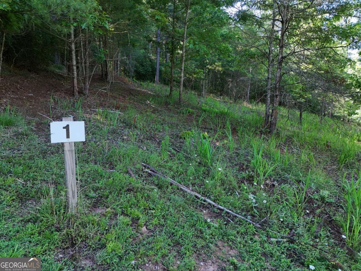 residential lot for sale at LOT 1 Big Knoll Drive 1, Blairsville, GA 30512 — photo 7