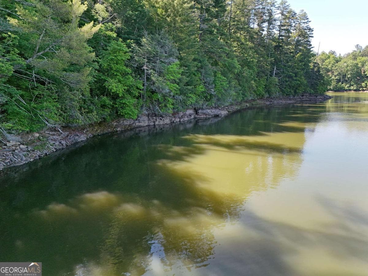 residential lot for sale at LOT 1 Big Knoll Drive 1, Blairsville, GA 30512 — photo 3