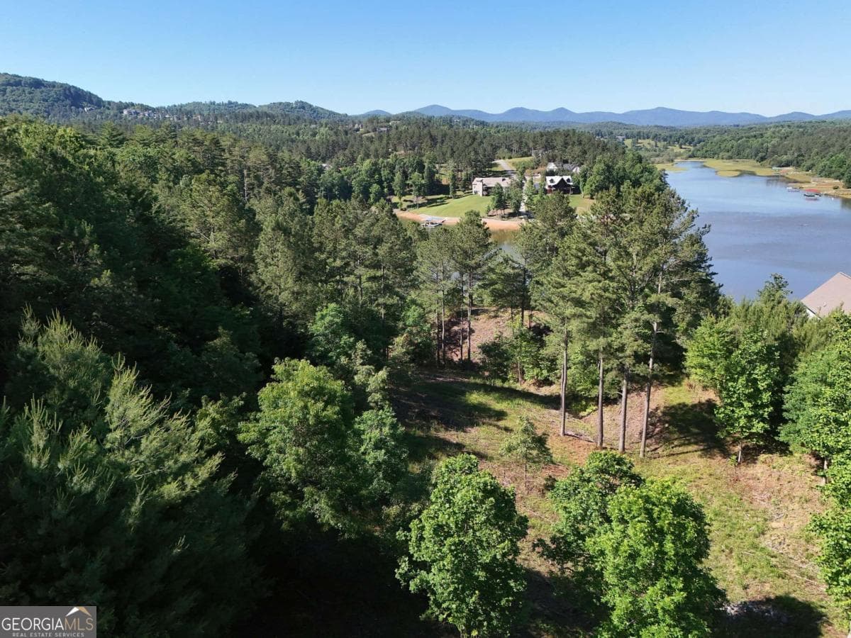 residential lot for sale at LOT 1 Big Knoll Drive 1, Blairsville, GA 30512 — photo 5