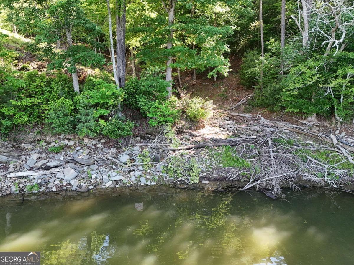 residential lot for sale at LOT 1 Big Knoll Drive 1, Blairsville, GA 30512 — photo 8