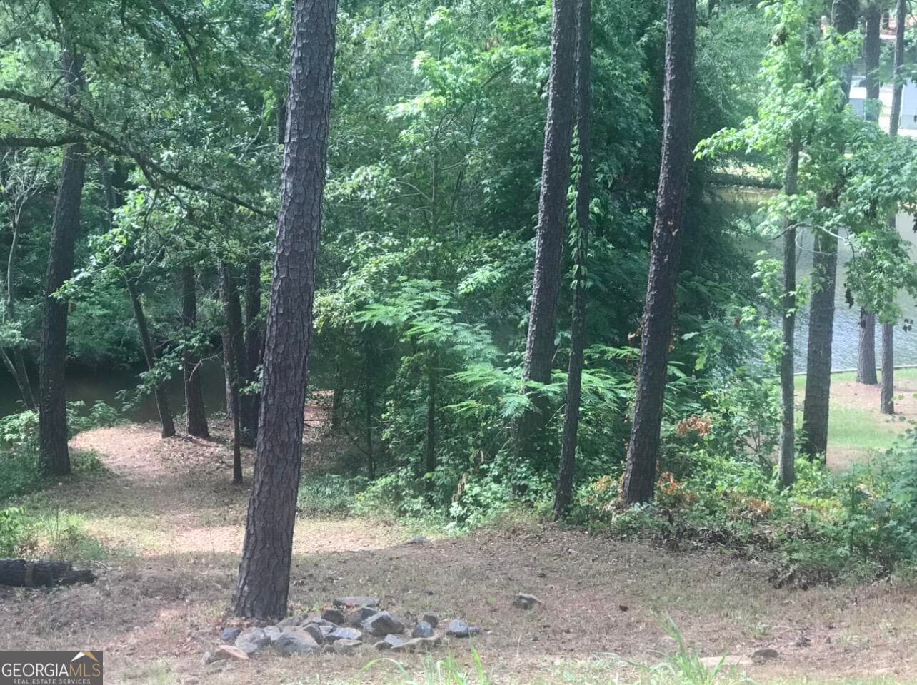 residential lot for sale at 333 Venture Trail, Sparta, GA 31087 — photo 3