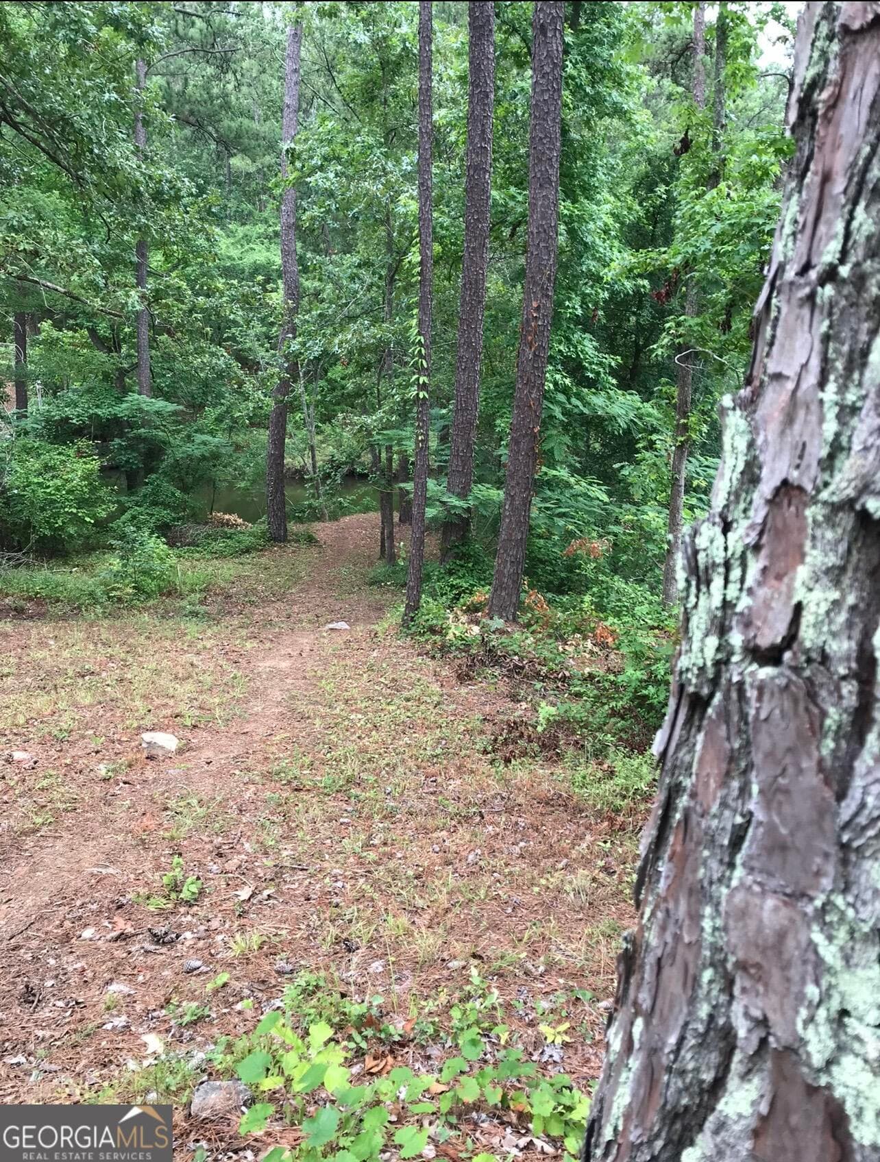 residential lot for sale at 333 Venture Trail, Sparta, GA 31087 — photo 4