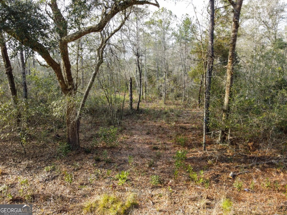 agriculture sold at 0 Floyd Road LOT 8, Pembroke, GA 31321