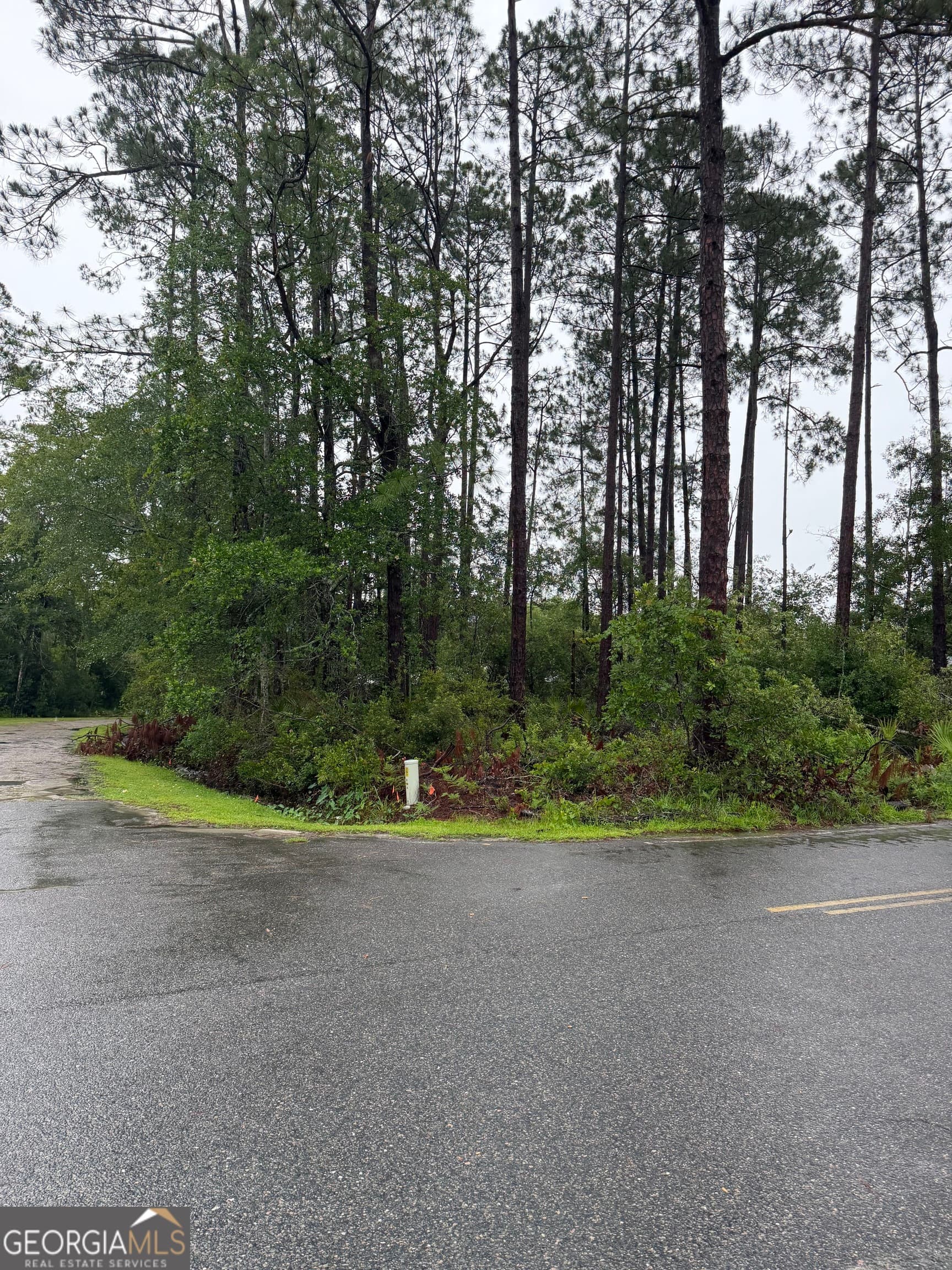 residential lot for sale at .30 Gibson Street, Nahunta, GA 31553 — photo 2