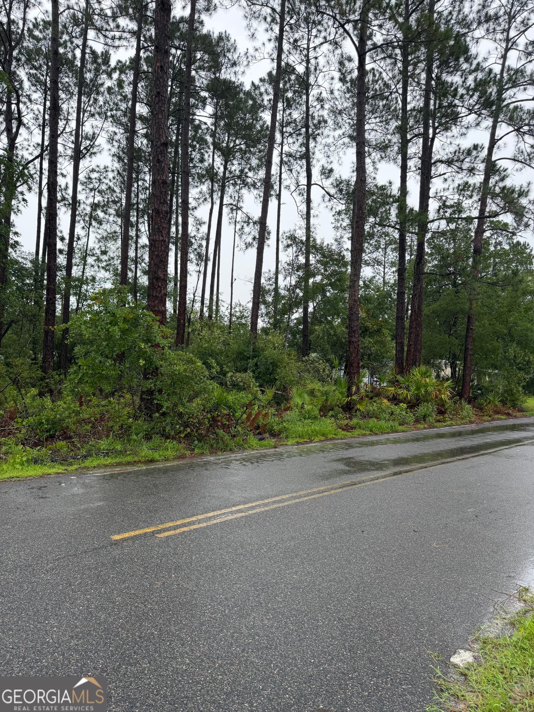 residential lot for sale at .30 Gibson Street, Nahunta, GA 31553