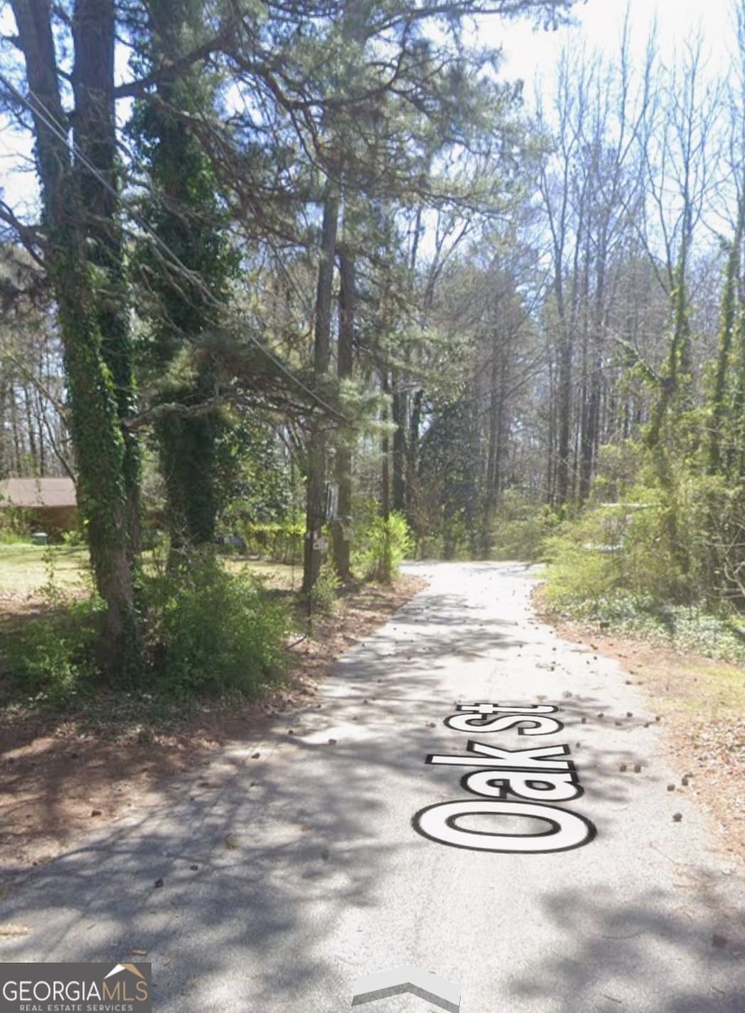 residential lot for sale at 0 Oak Street, Lake City, GA 30260 — photo 2
