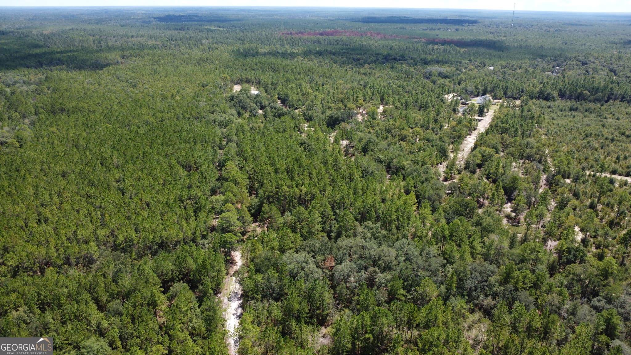 agriculture under contract at LOT 1 Porter Road, Pembroke, GA 31321 — photo 2
