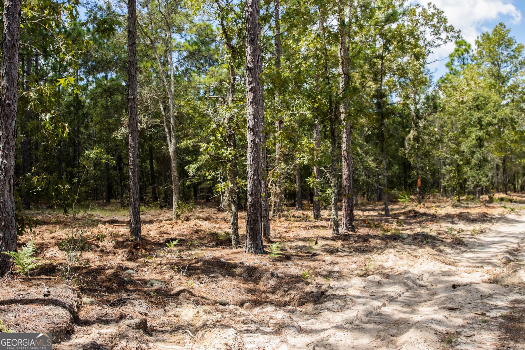 agriculture under contract at LOT 1 Porter Road, Pembroke, GA 31321 — photo 7