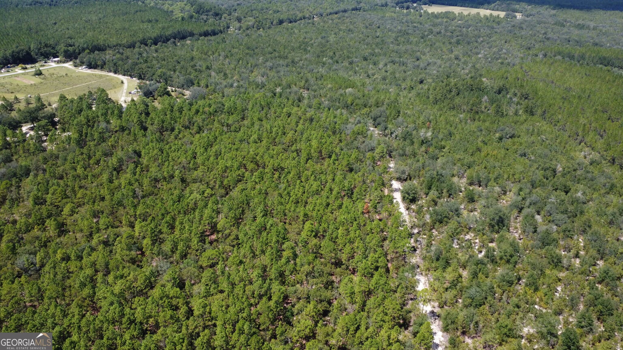 agriculture under contract at LOT 1 Porter Road, Pembroke, GA 31321 — photo 3