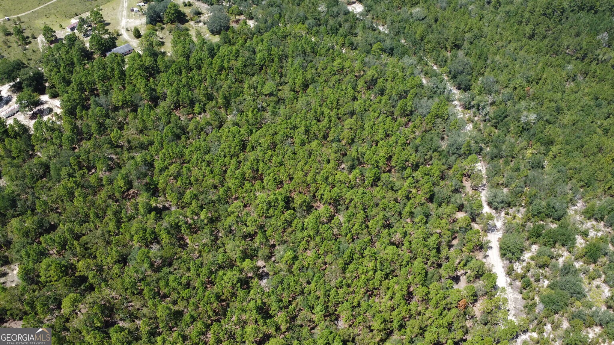 agriculture under contract at LOT 1 Porter Road, Pembroke, GA 31321 — photo 4